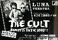 Alt 68 the cult, 68x98, 20euro.JPG